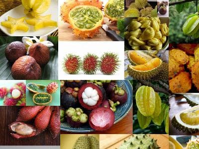 பழங்களின் பயன்கள்