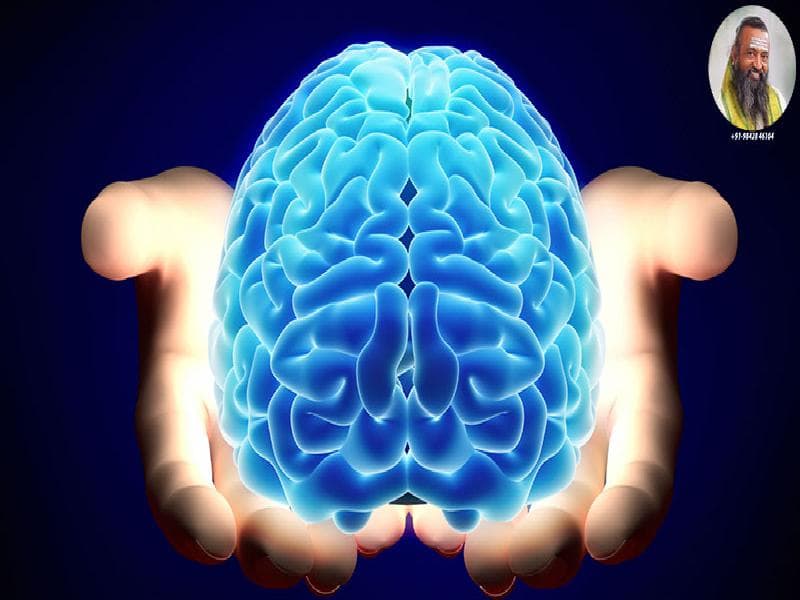 ஞானத்தை யாரிடம் கற்பது?