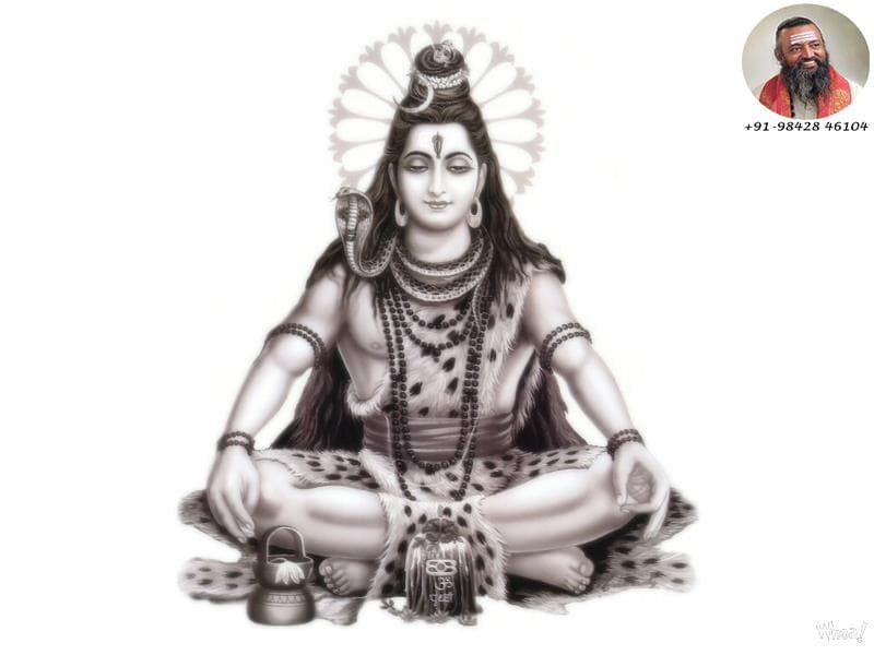 சிவ பூஜையும் அபிஷேகங்களும்