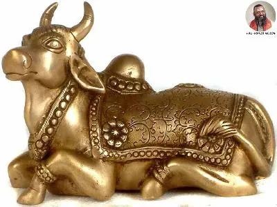 பிரதோஷ காலத்தில் நந்தியை வழிபடுவதால் கிடைக்கும் பலன்கள்